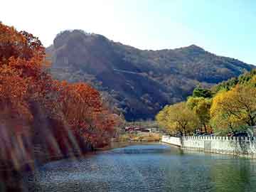 澳门天天开奖免费资料，全国统一城管制服